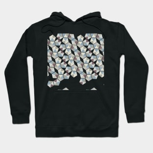 Retro Nature Hoodie